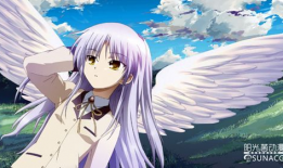 日本动漫肉片,日本动漫肉片大揭秘