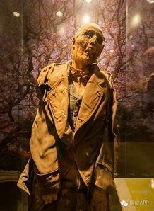 娱乐吃瓜酱毛骨悚然,揭秘毛骨悚然的幕后真相